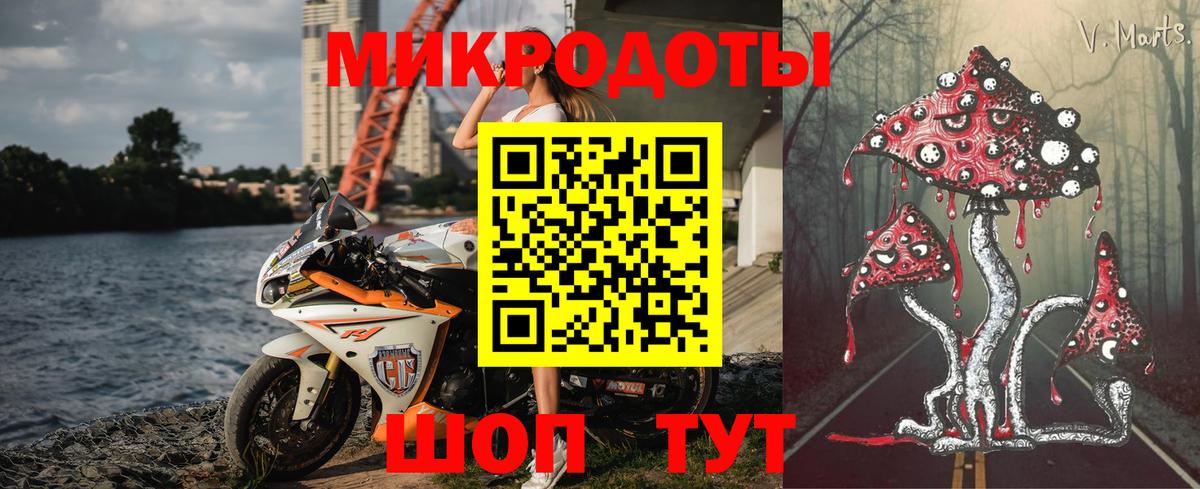 Галлюциногенные грибы прущие грибы  Вход с VPN  Новороссийск 