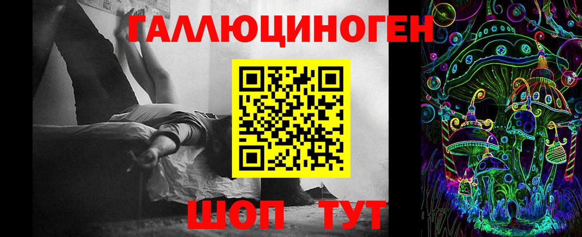Псилоцибиновые грибы Cubensis Новороссийск